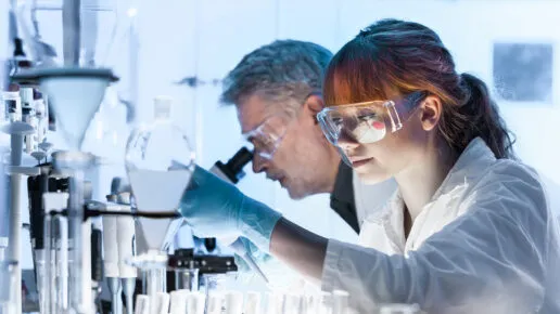 Animal Free Research