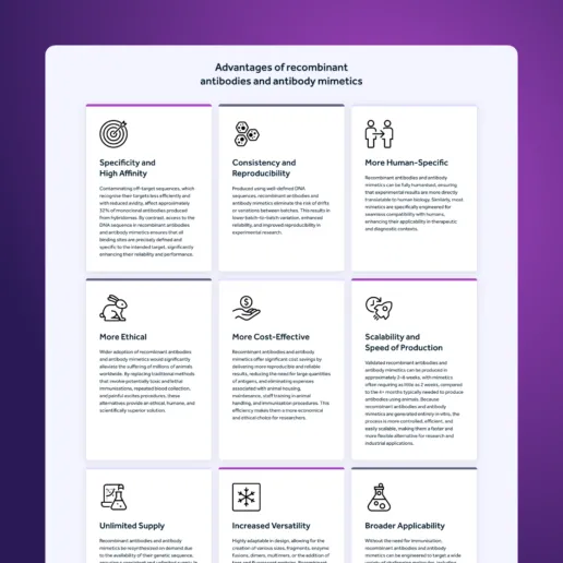 Animal Free Database web design