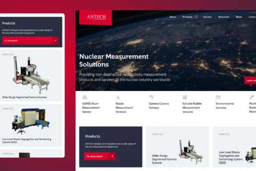 Antech web design