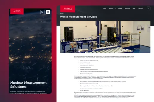 Antech web design