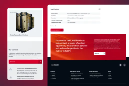 Antech web design