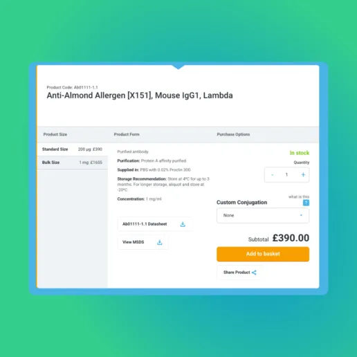 E-commerce development